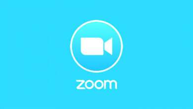 Zoom Logo Pic