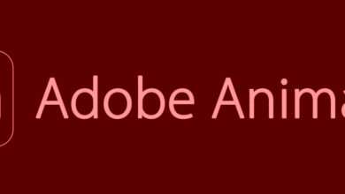 Adobe Animate Logo Pic
