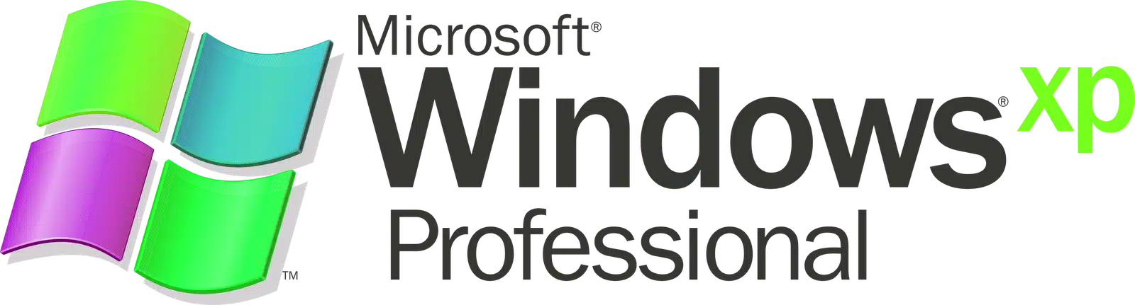Windows XP Professional logo pic
