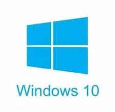 Windows 10 Professional Preactivated 2023 logo