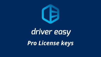 Driver Easy Pro лицензионный ключ